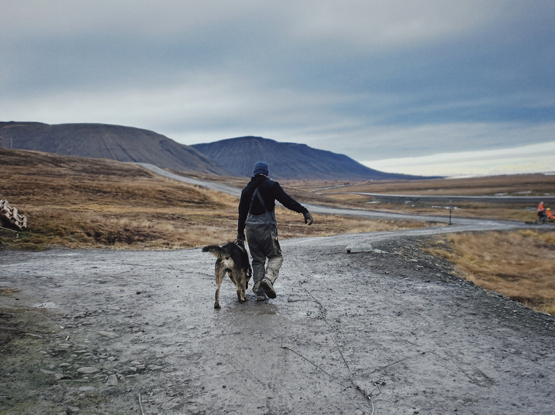 Green Dog Svalbard-朗伊尔城必去景点