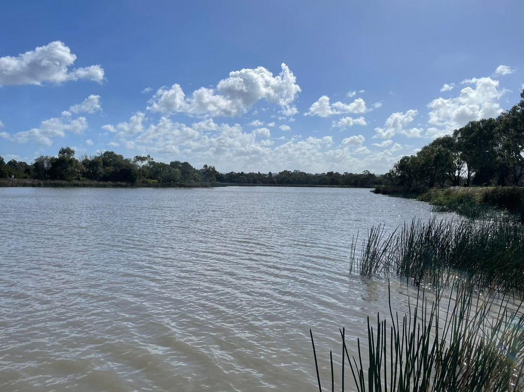 Berwick Springs Wetlands Reserve-伯威克必去景点