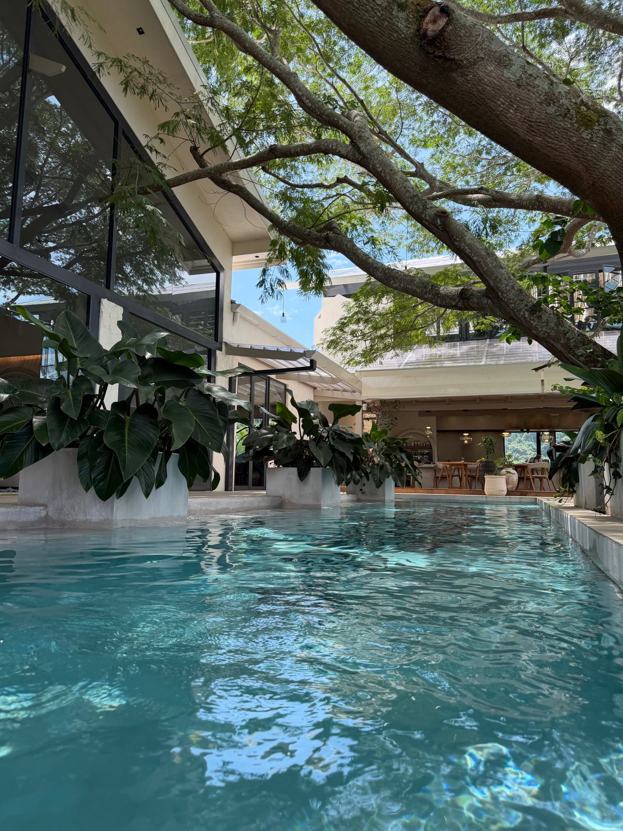 哥斯达黎加度假屋酒店 - 养生度假村及水疗中心-旅行者