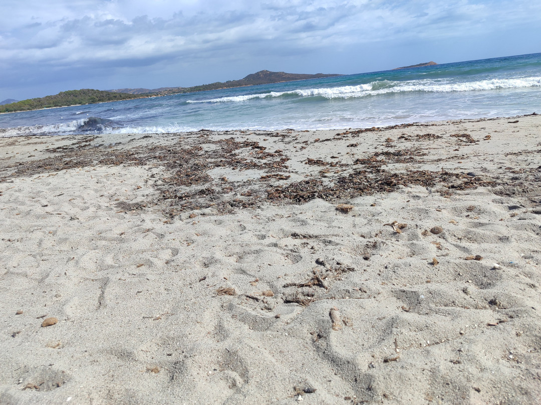 Spiaggia di Lu Impostu-San Teodoro必去景点