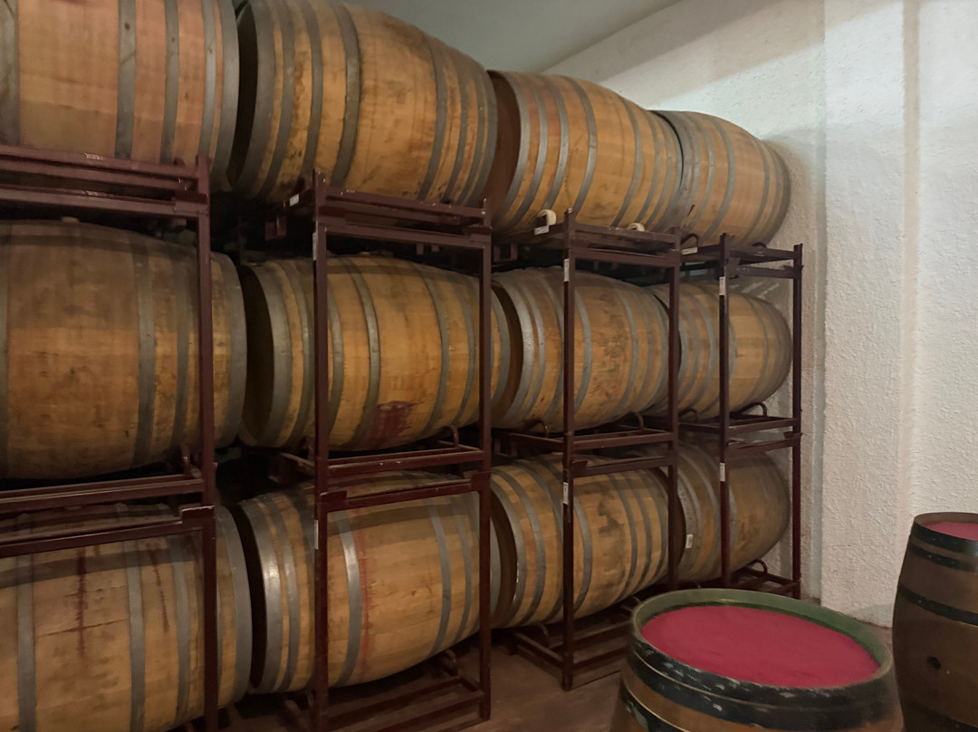 Bodegas Castaño-Yecla必去景点