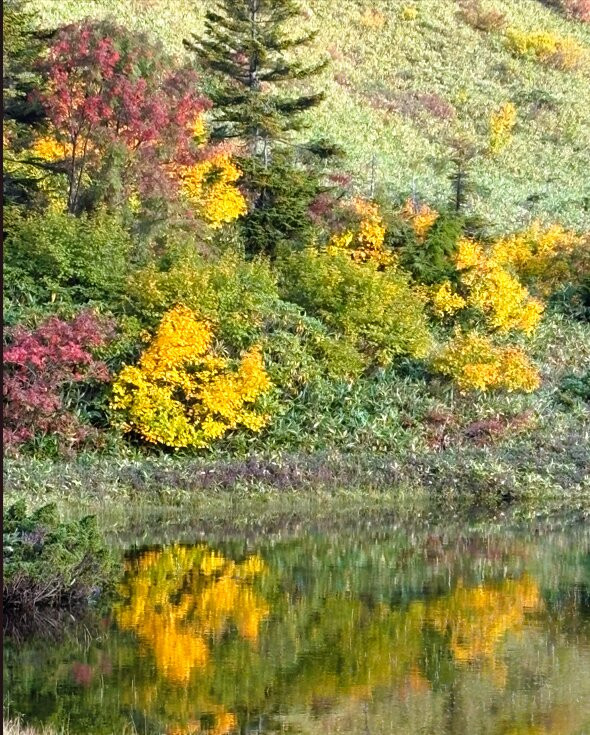 Kanuma Nature Hiking Course-福岛市必去景点