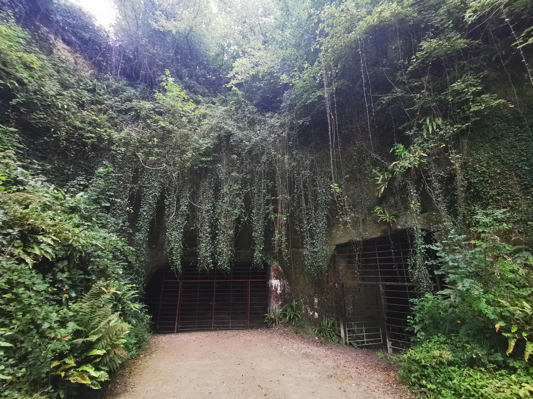 Beer Quarry Caves-Beer必去景点