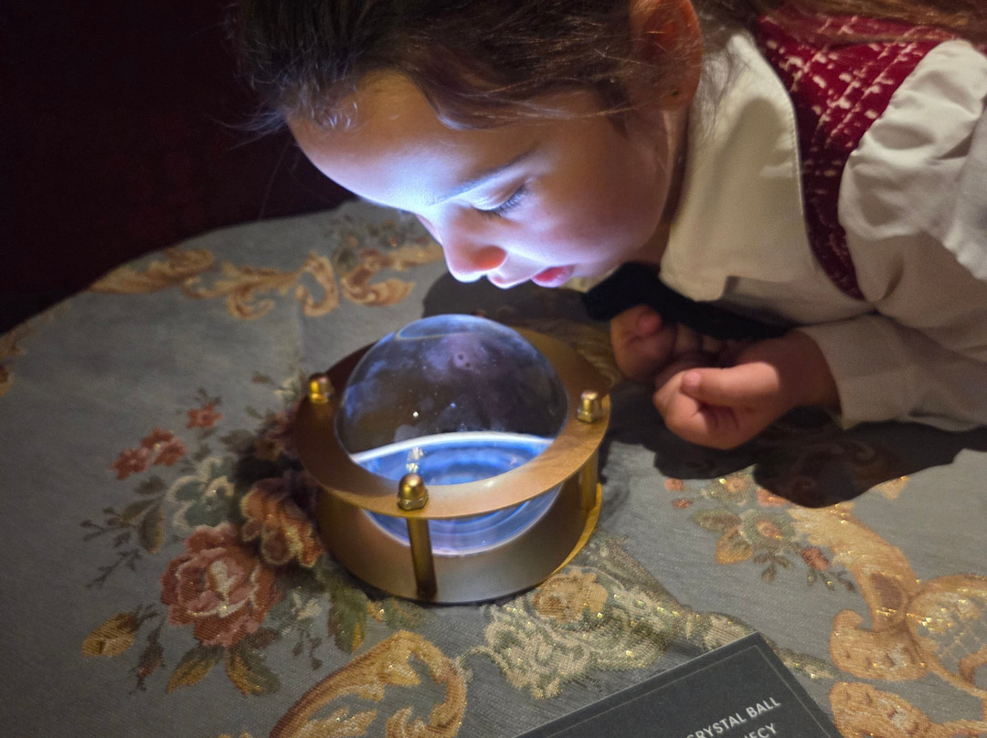 Harry Potter The Exhibition-Sydney Olympic Park必去景点