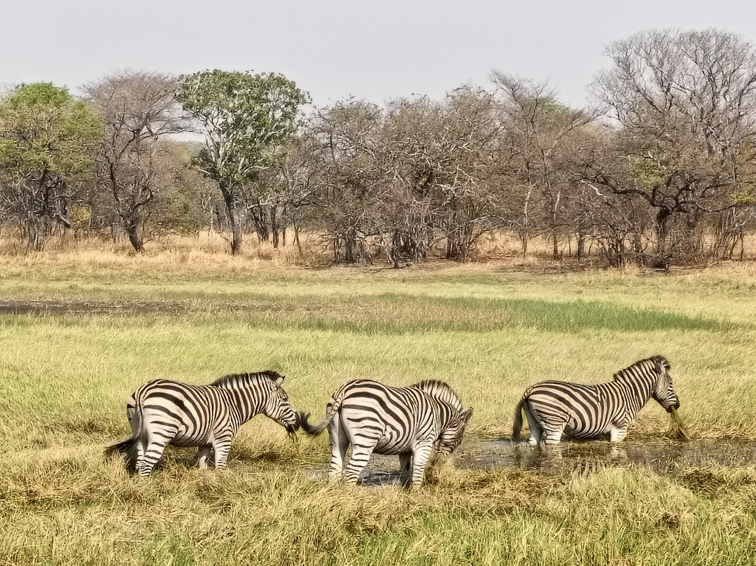 Kuti Wildlife Reserve-沙利马必去景点