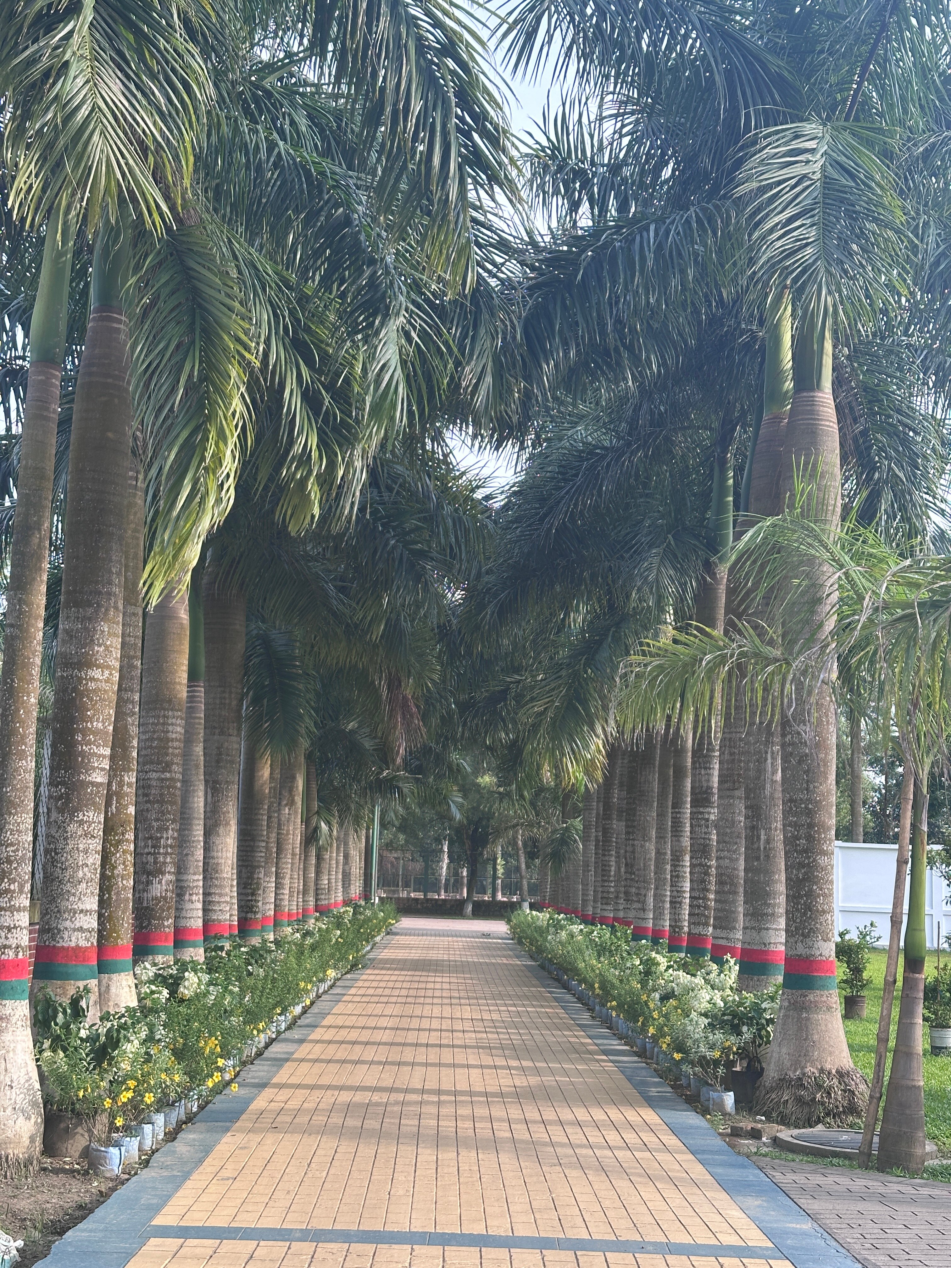 Green View Golf Resort-旅行者