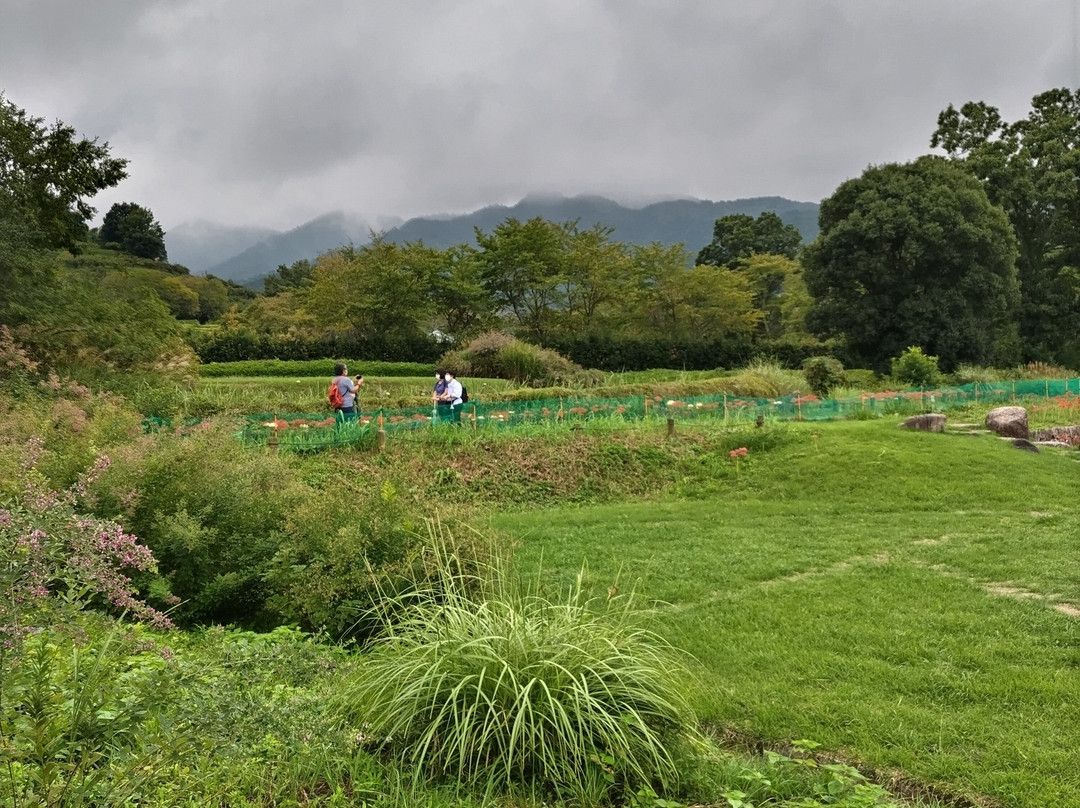 石舞台古坟-明日香村必去景点