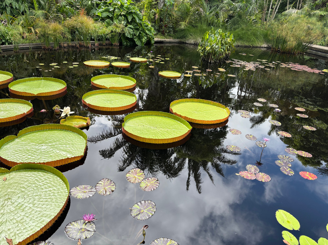 Naples Botanical Garden-那不勒斯必去景点