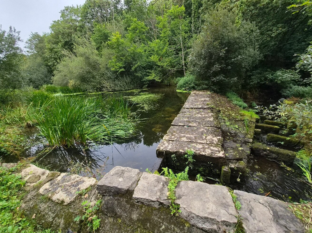 The Dingle (Nant y Pandy) Nature Reserve-Llangefni必去景点