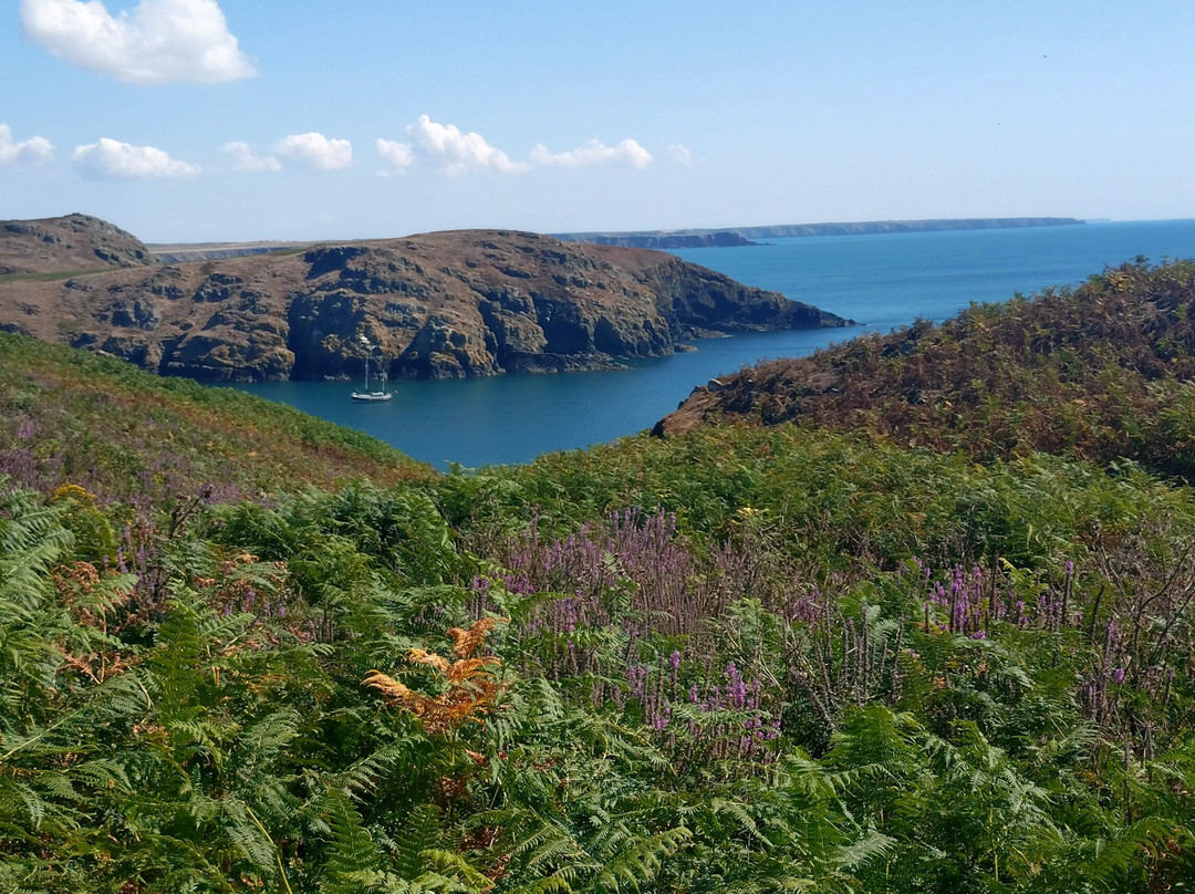 Pembrokeshire Islands Boat Trips-Marloes必去景点