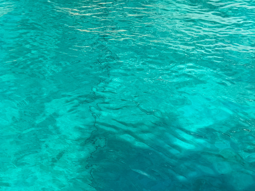 Comino Waves Boat Charters Malta-史克华必去景点