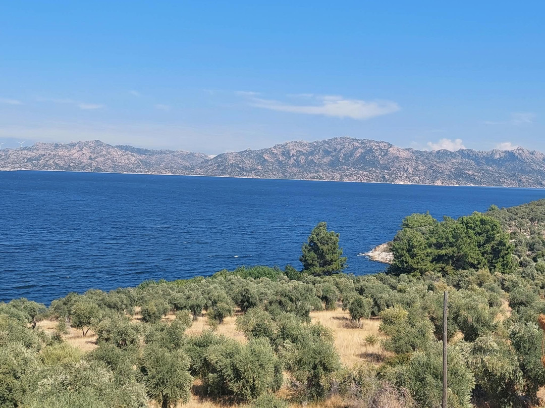 Lake Bafa Nature Park-Milas必去景点