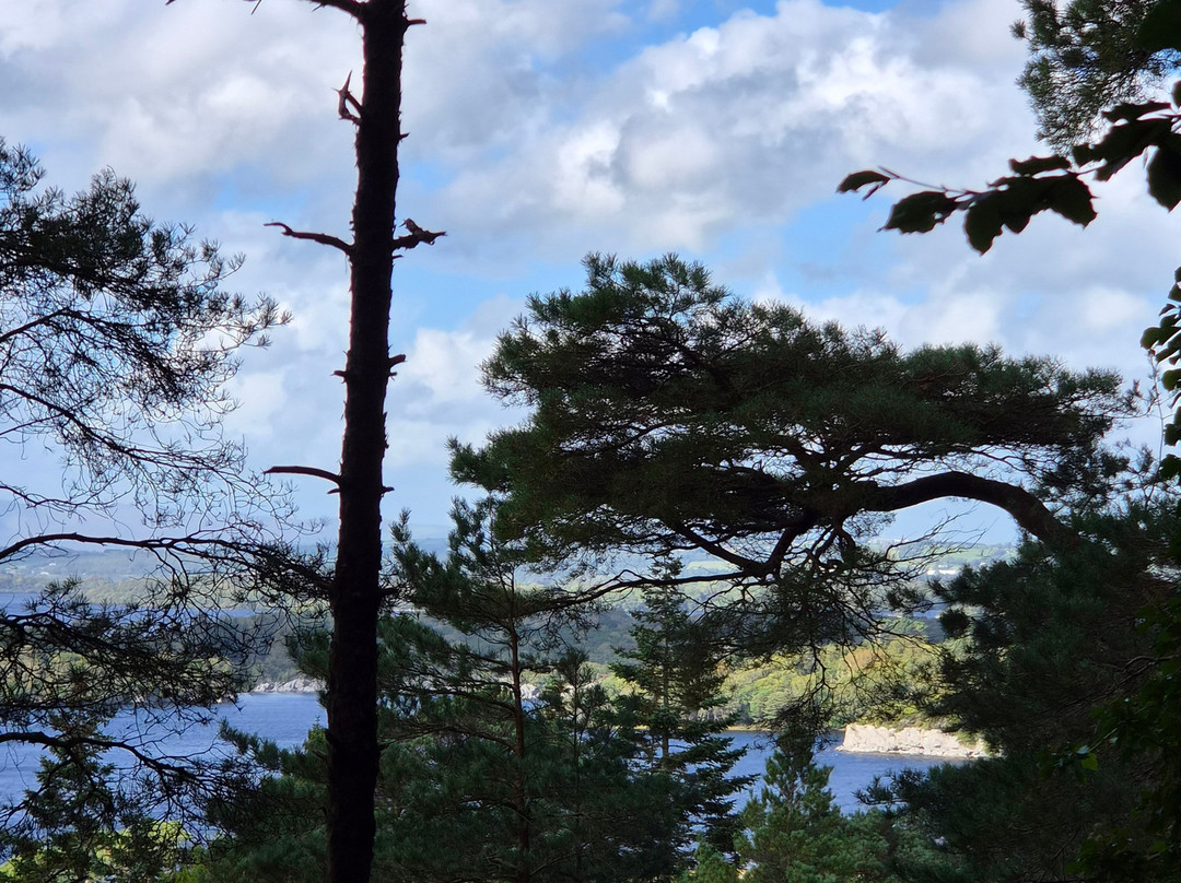 Killarney National Park-基拉尼必去景点