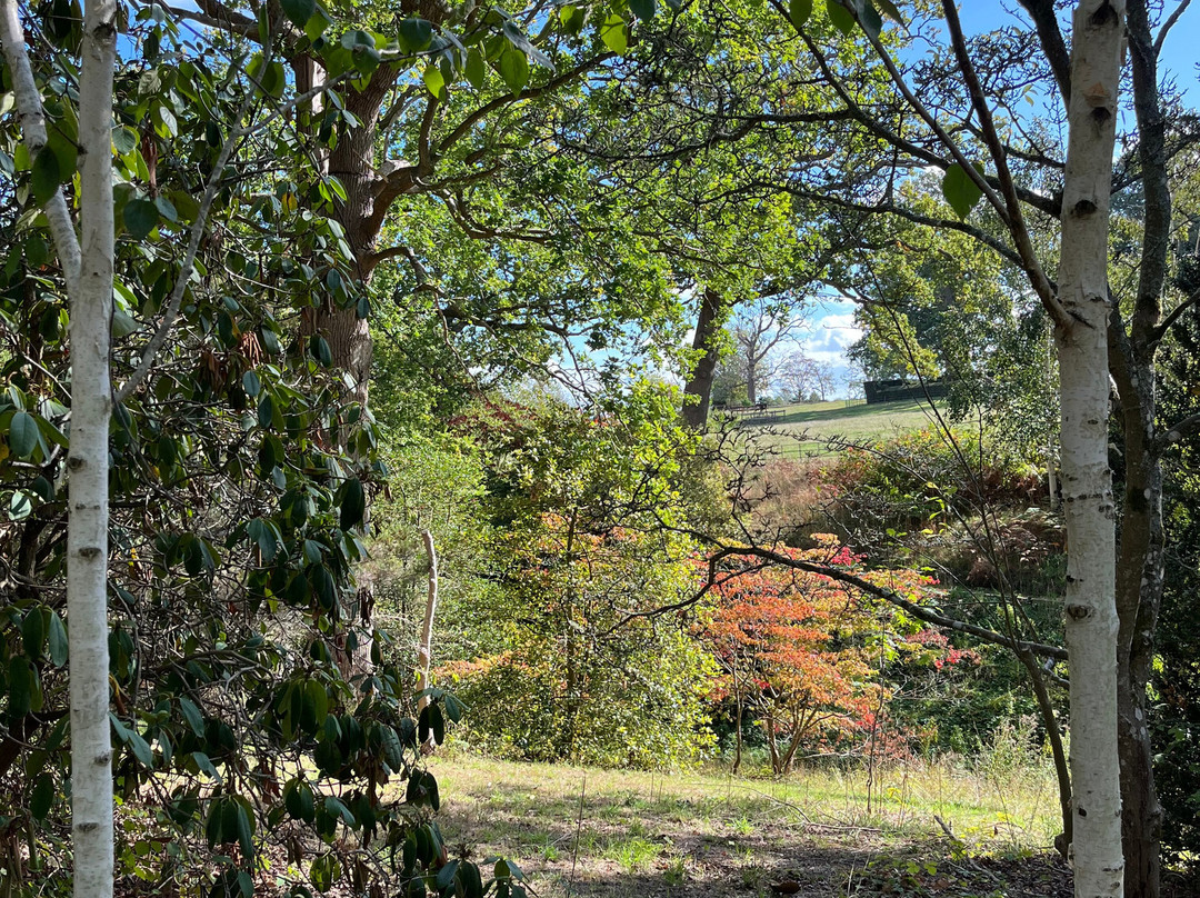 Hole Park Gardens-Rolvenden必去景点