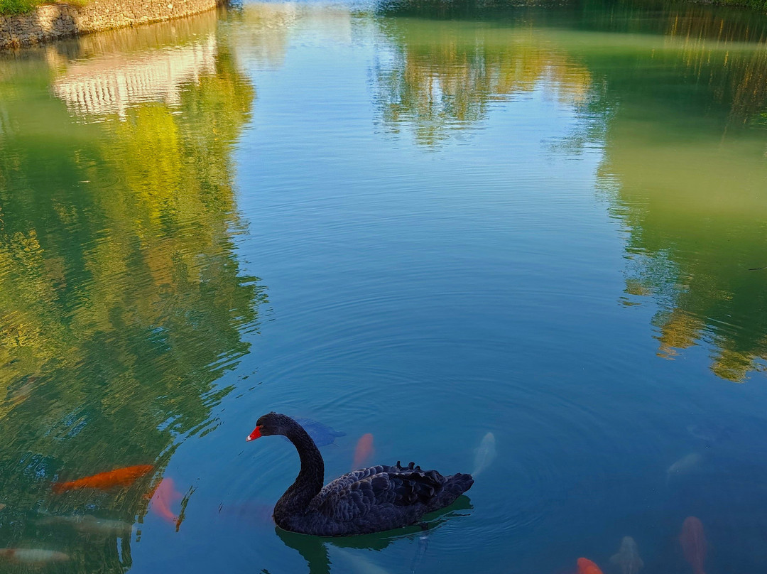 Southern Cultures Park-艾德勒必去景点