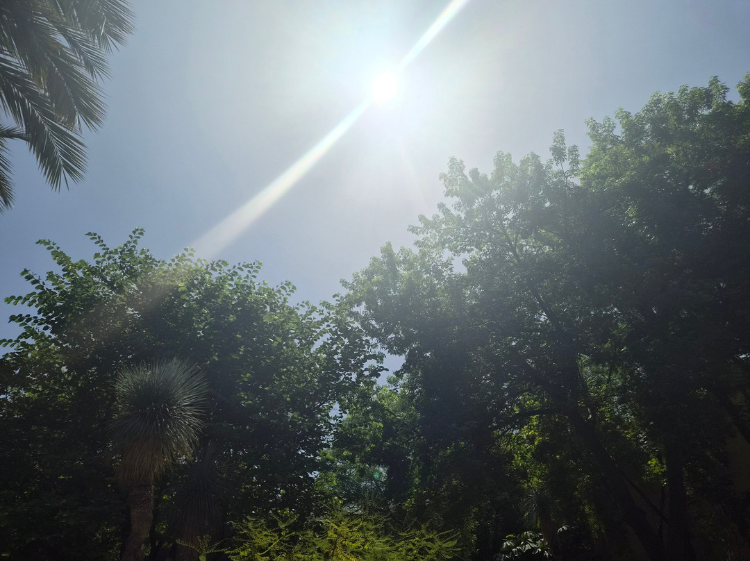 香颂秘密花园-马拉喀什必去景点