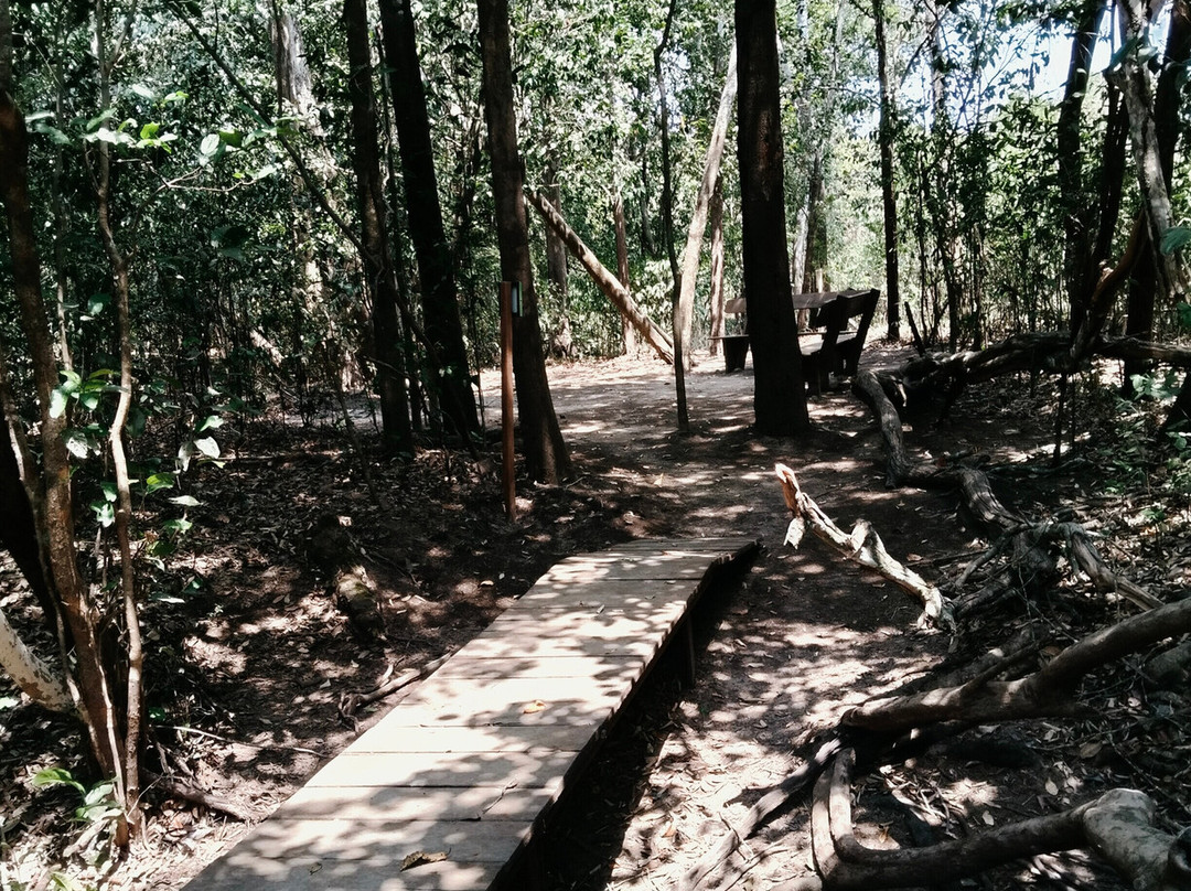 Rppn Canto Do Obrieni-Caseara必去景点
