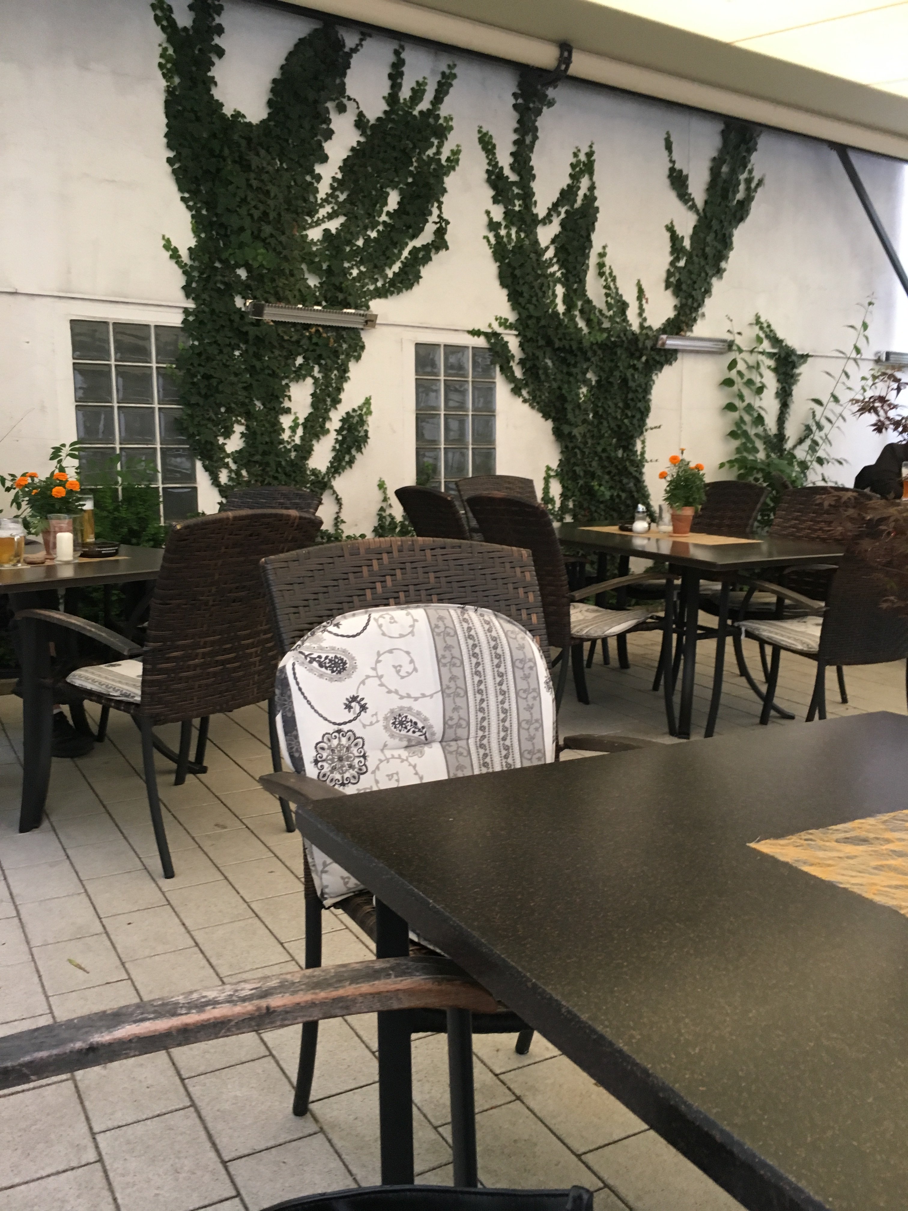 Gruener Baum Hotel & Gasthof-官方