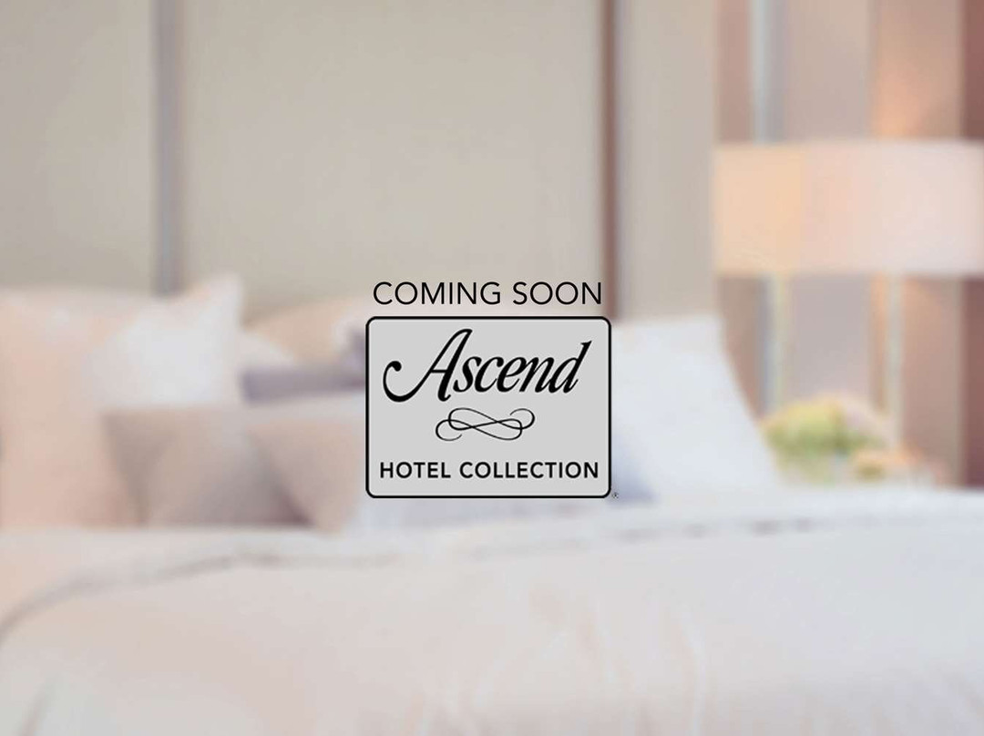 Checkin La Princesa主图