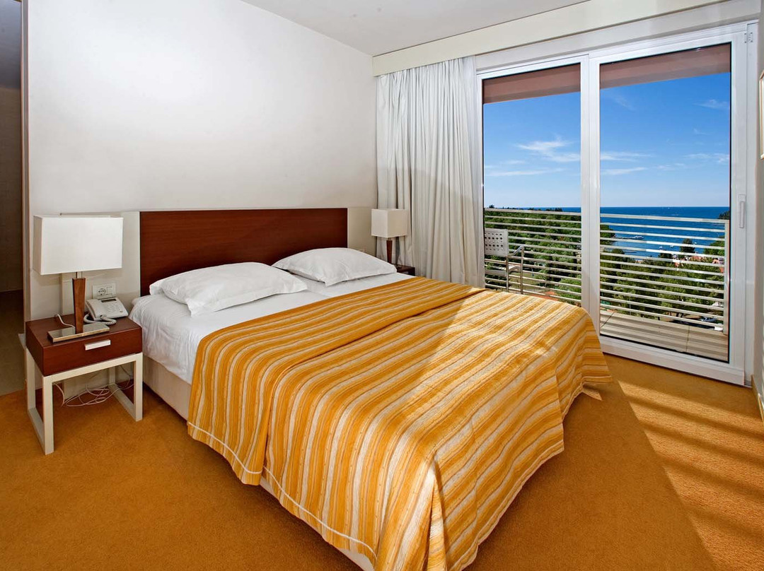 Hotel Albatros Plava Laguna主图