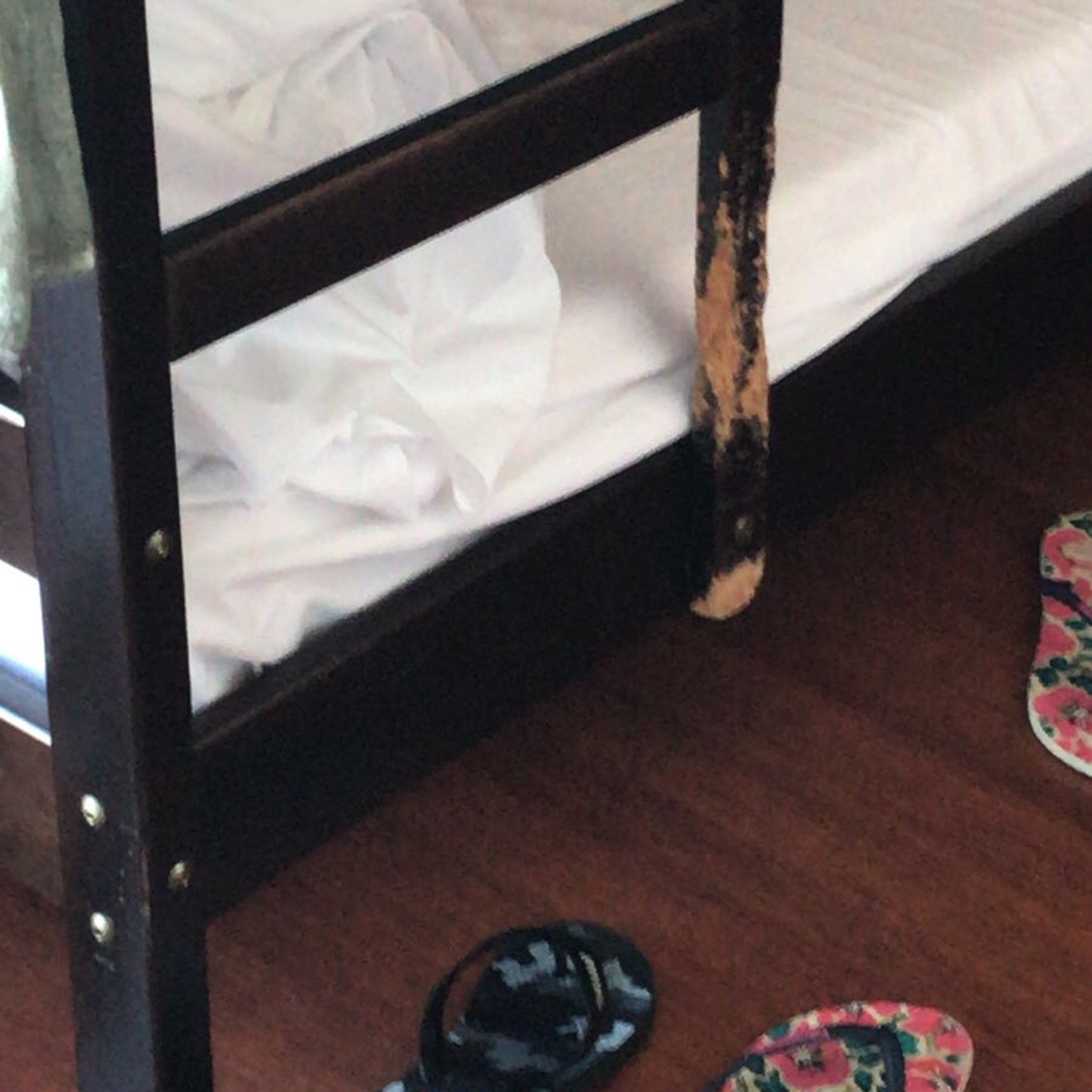 Flathotel Perpignan Sud Salleilles-官方