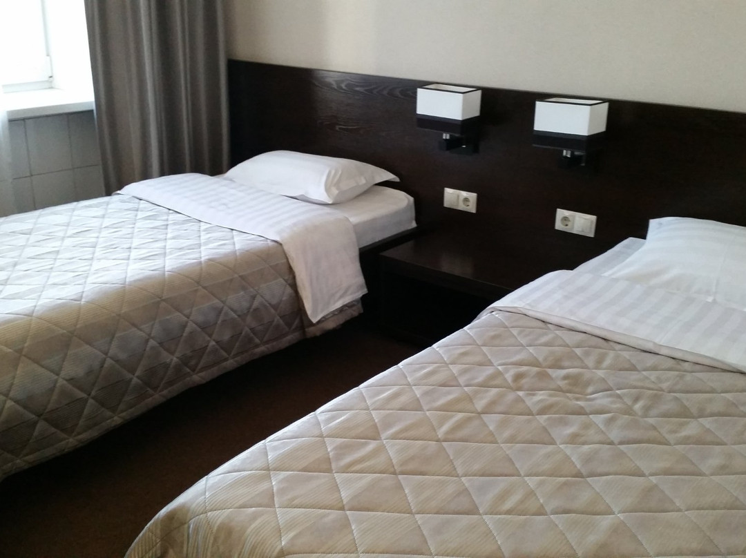Barnaul酒店住宿-Central Hotel