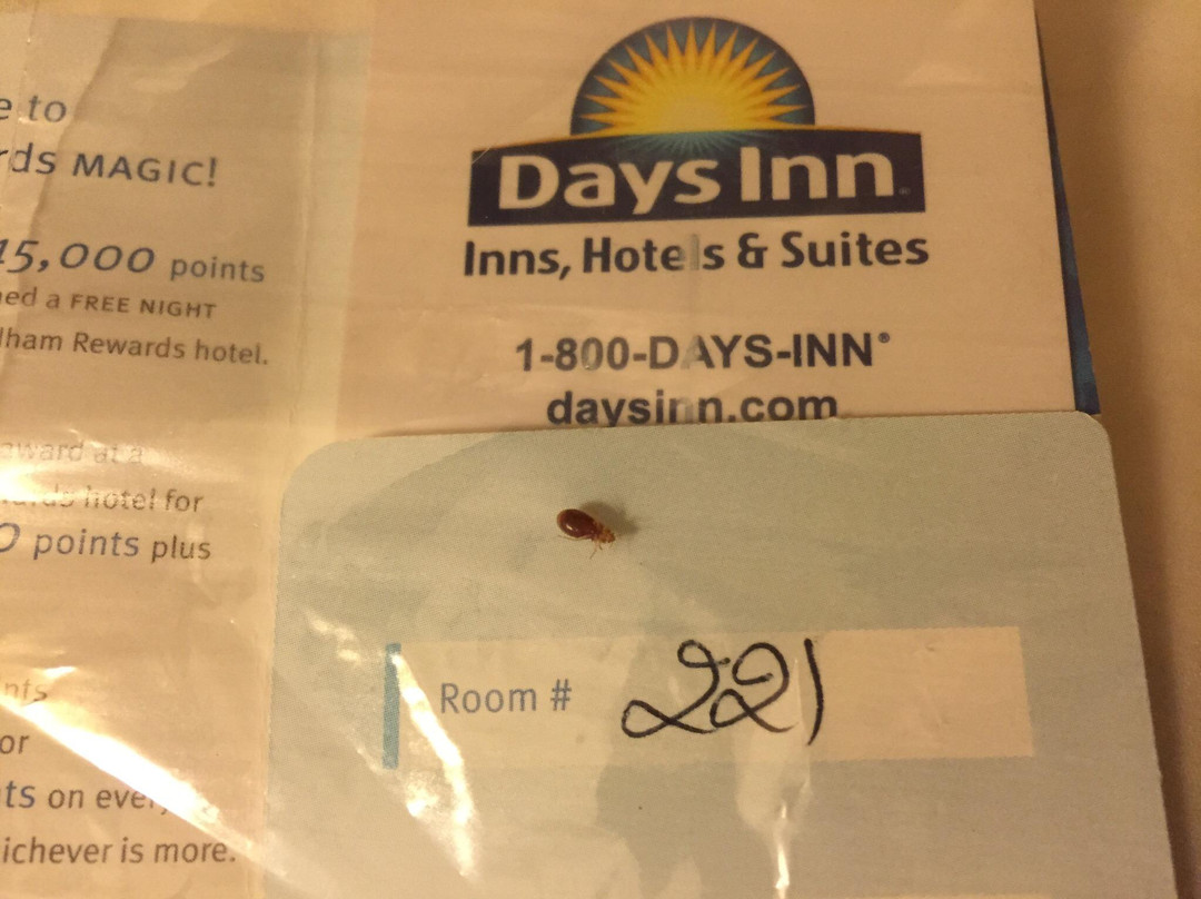 Days Inn by Wyndham Grayson主图