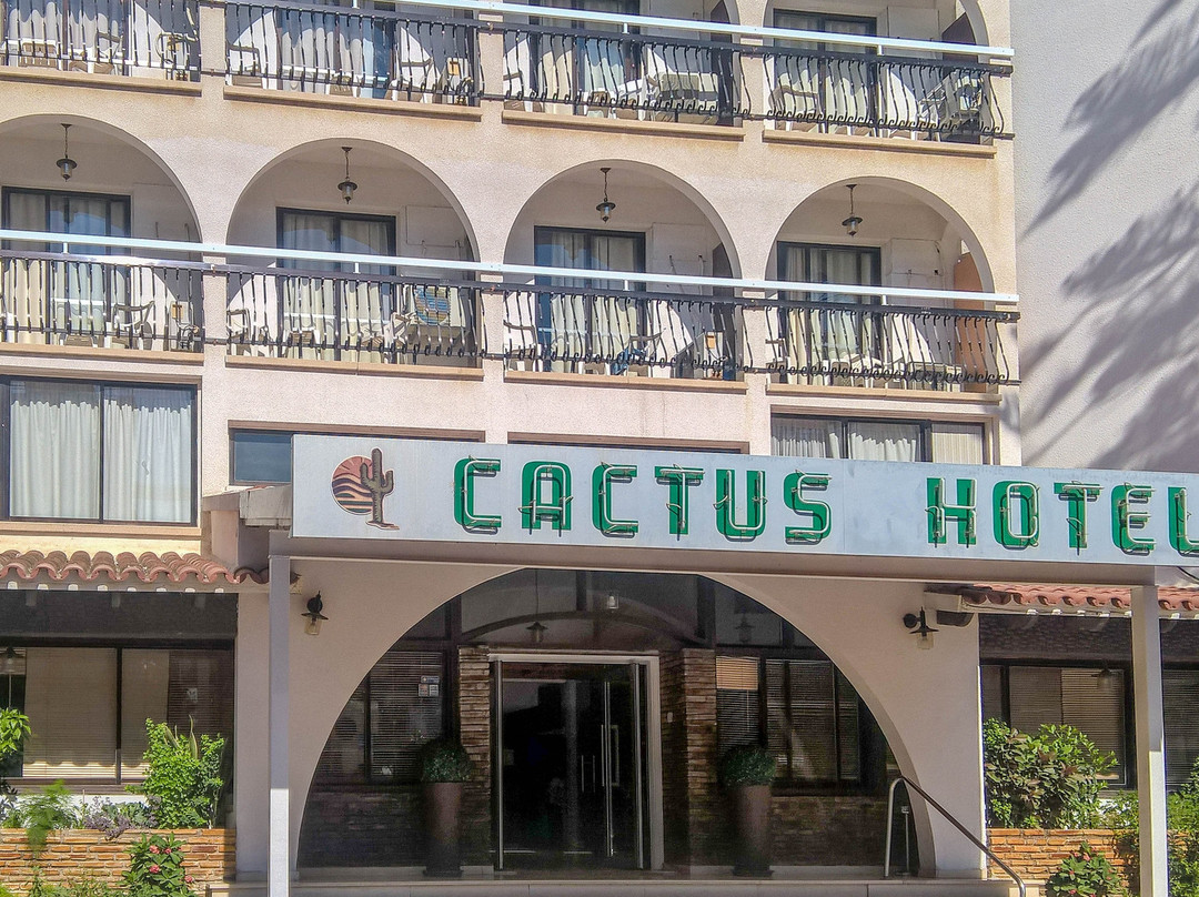 Pervolia酒店住宿-仙人掌酒店