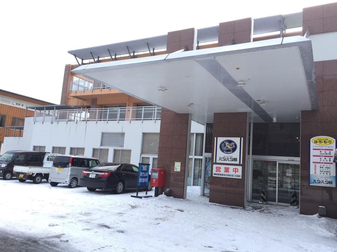 Hachimori isaribi onsen hatahatakan主图