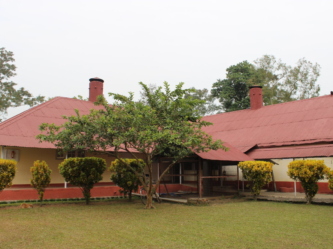 Wathai Heritage Bungalow