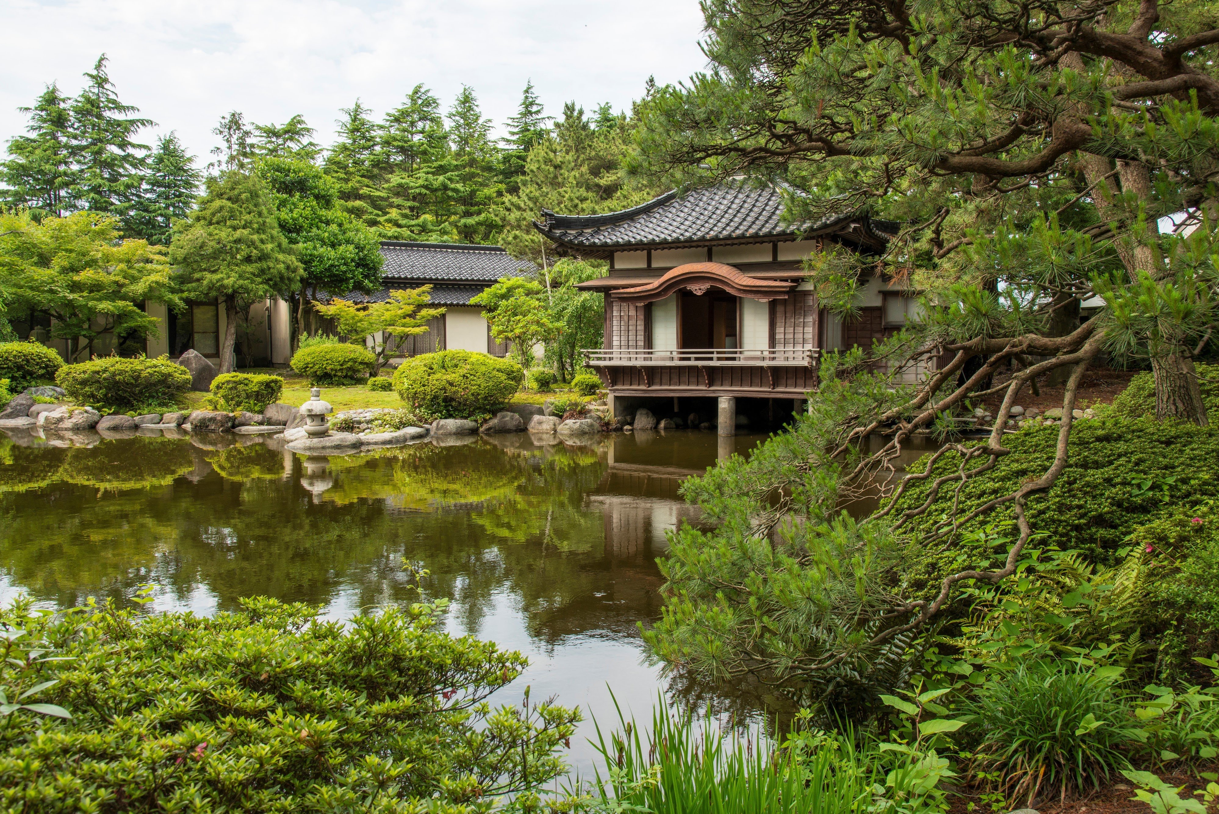 Tanakaya-官方