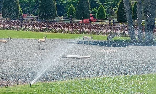 Al Maya Island & Resort-阿布扎比必去景点