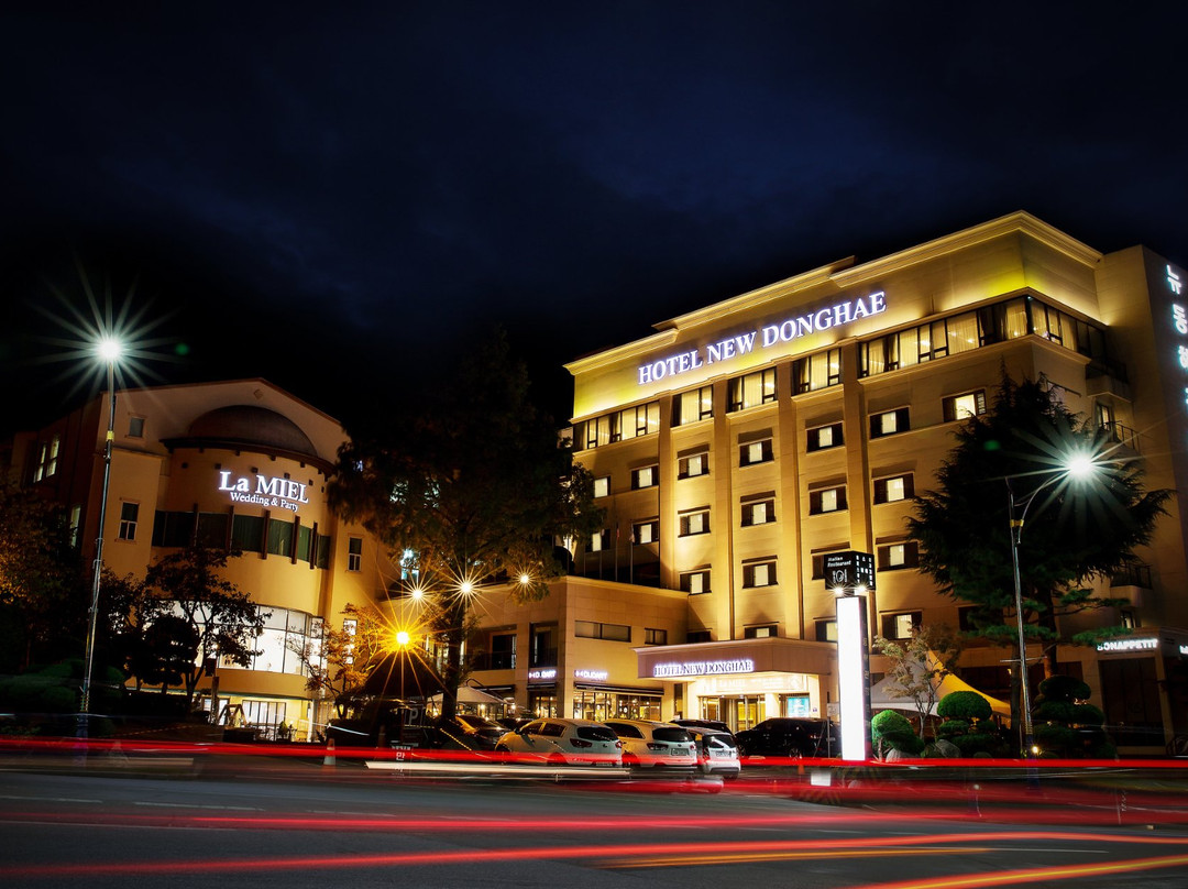 东海市酒店住宿-New Donghae Tourist Hotel