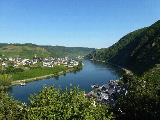 Moselgasthof Andries-客卧