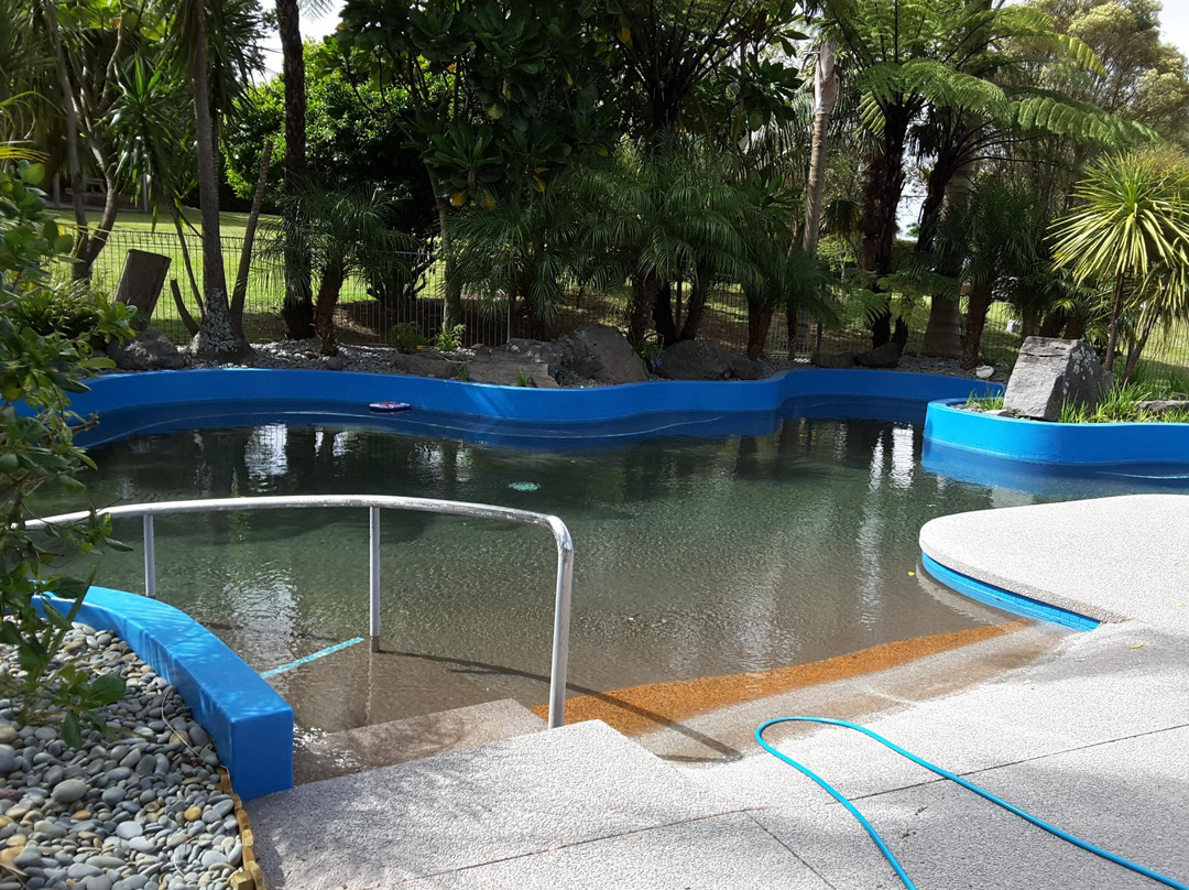 Smallgusta & Hot Pools-陶兰加必去景点