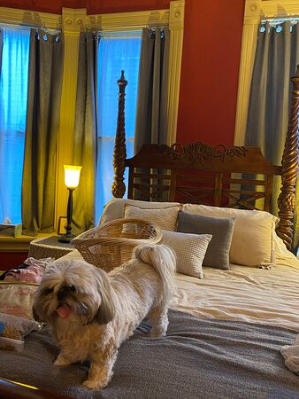 Queen Anne Inn主图