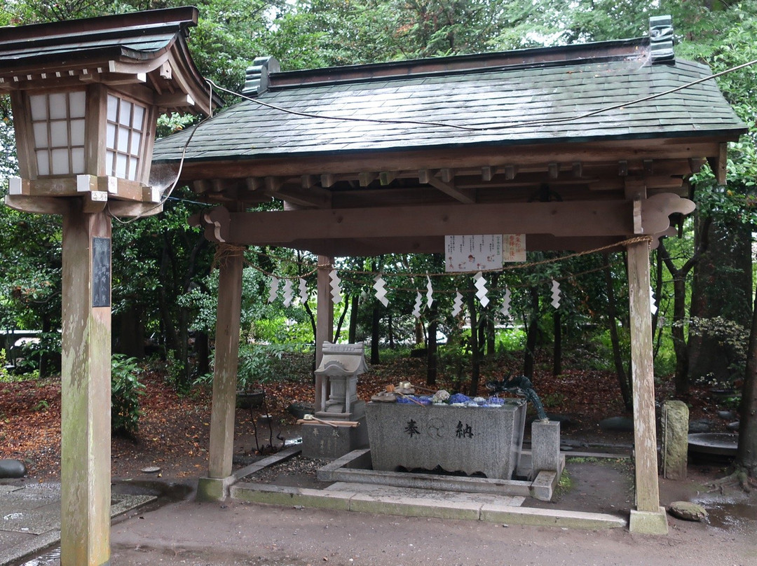 Imamiya Shrine景点图片