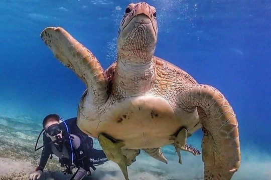 Get Your Trip-赫尔格达必去景点