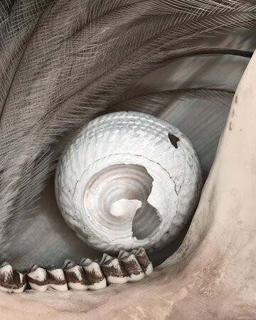 Janet Dwyer Photography景点图片