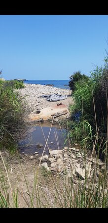 Playa de Cala Arena景点图片