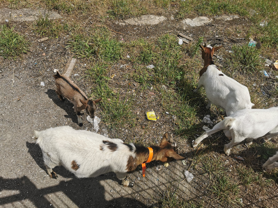 Muralla de Medina de Pomar-Medina de Pomar必去景点
