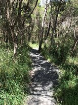 Screw Creek Townsend Bluff Estuary Walk-Inverloch必去景点