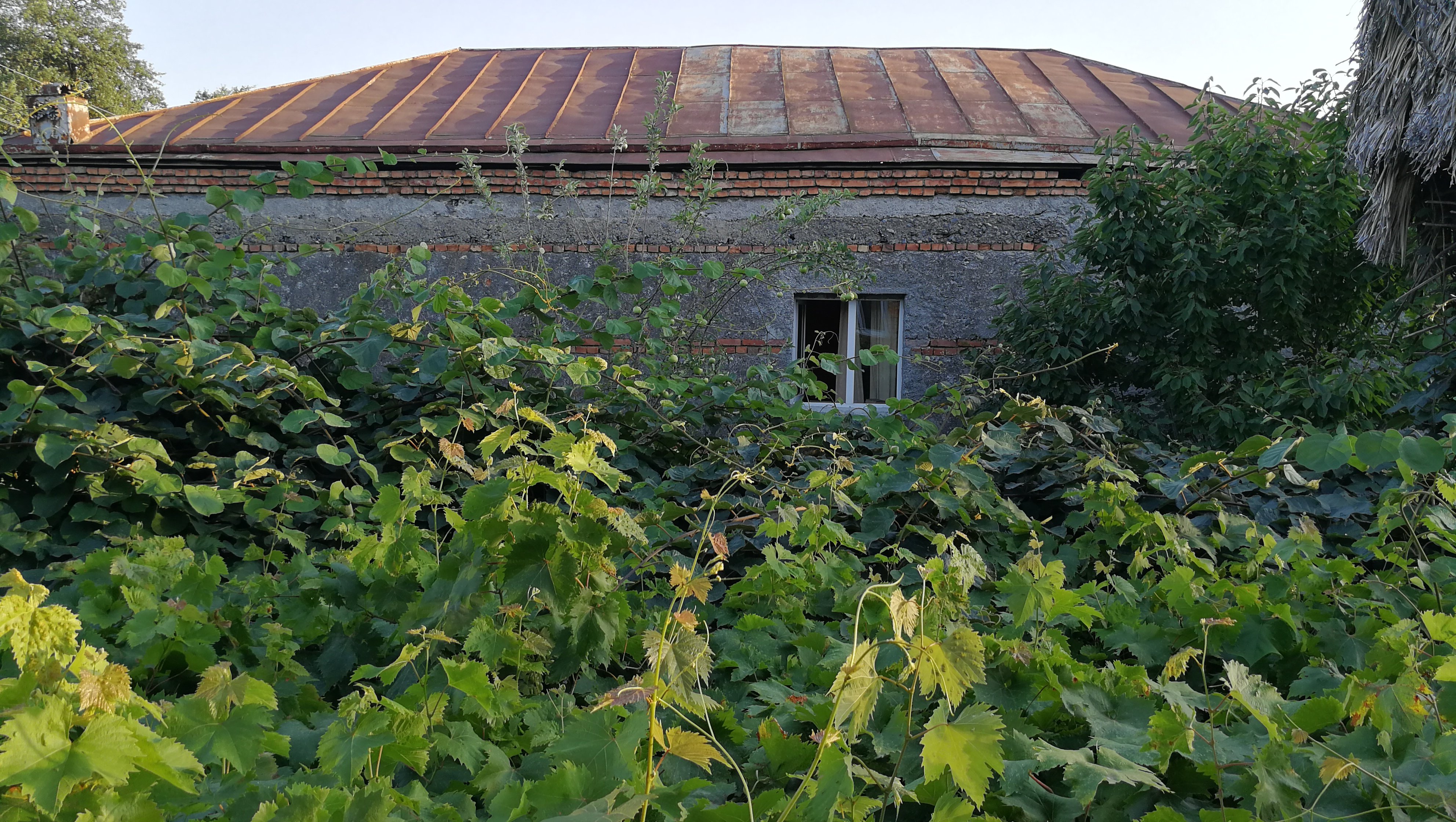 Guesthouse Nika-官方