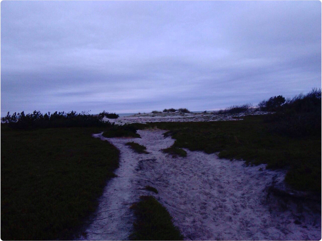 Anholt Camping