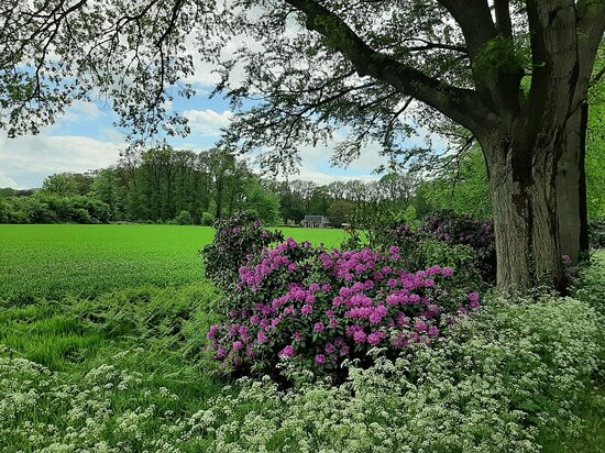 Landgoed "het Enzerinck"-Vorden必去景点