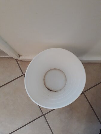 The Sunset Cove & Rainbow Room主图