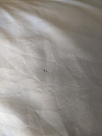 Holiday Inn Express Albuquerque N - Bernalillo by IHG主图