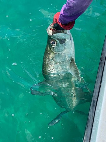 Fish And Stay Rincon, Puerto Rico-吕康必去景点