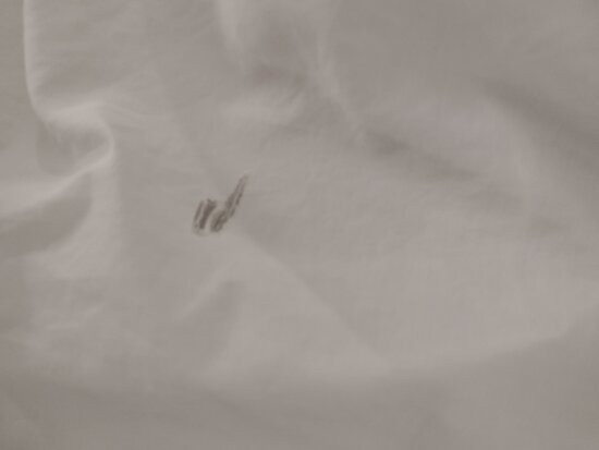 Sheraton Vitoria Hotel主图