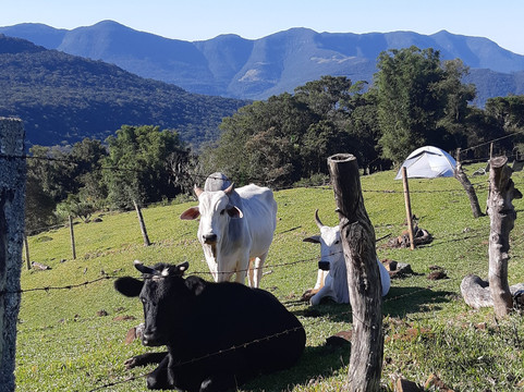 Chapada Do Vagalume-Itati必去景点